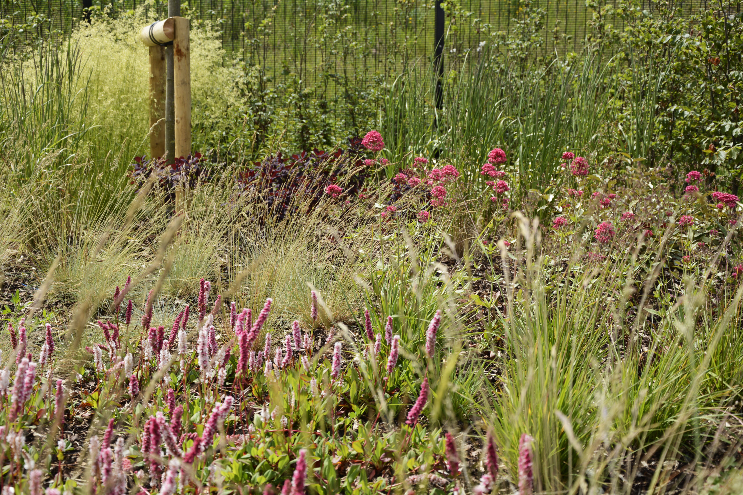 LANCASHIRE CONSTABULARY DIVISIONAL HQ Ares Landscape Architects Ltd